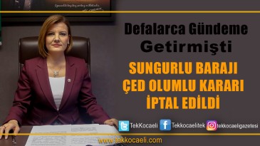 Sungurlu Barajı ÇED Kararı İptal Edildi