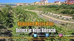Kaşkaldere Mesire Alanı, Derince’ye Nefes Aldıracak