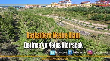 Kaşkaldere Mesire Alanı, Derince’ye Nefes Aldıracak