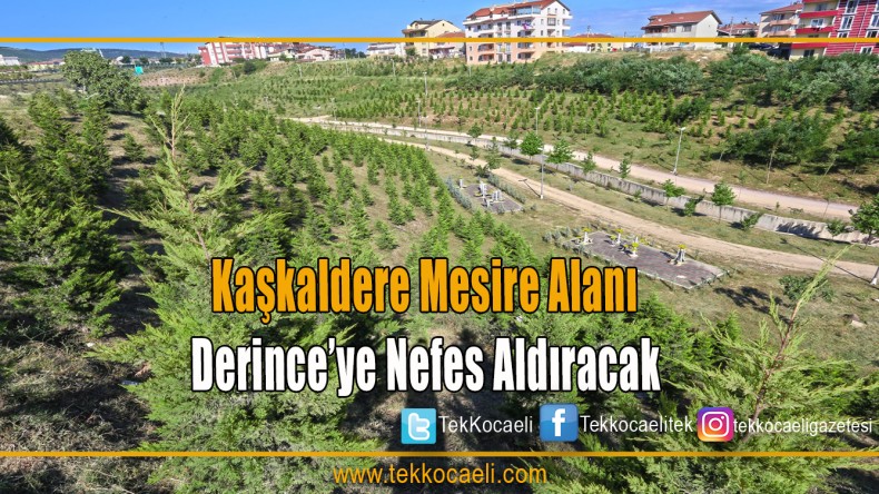 Kaşkaldere Mesire Alanı, Derince’ye Nefes Aldıracak