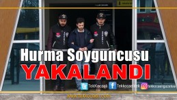 Hurma Soyguncusu Yakalandı
