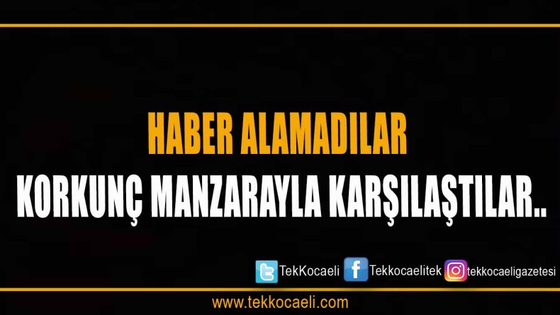 Son Anda Kurtuldular