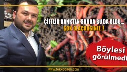 Kırmızı Kaliforniya Solucanı İle Saadet Zinciri Kurdular!