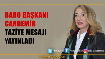 Araştırma Görevlisi’nin Öldürülmesine Tepkiler