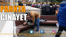 Caminin Parkında Cinayet