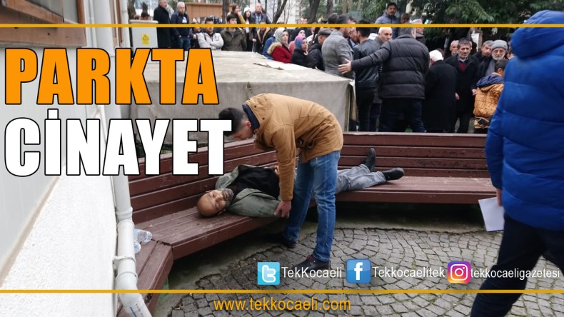 Caminin Parkında Cinayet
