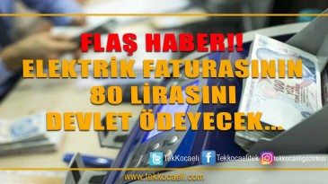 Elektrik Faturasının 80 Lirasını Devlet Ödeyecek