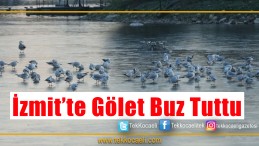 Gölet Buz Tuttu