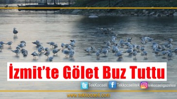 Gölet Buz Tuttu