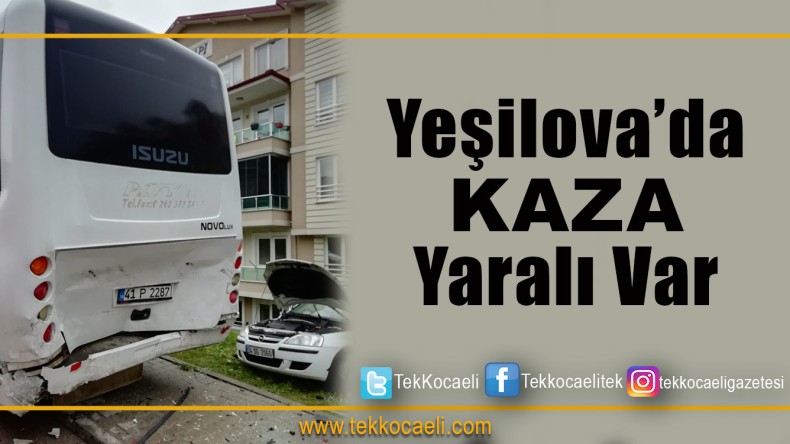 Park Halindeki Minibüse Çarptı