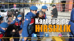 Kartepe Hırsızları Yakalandı