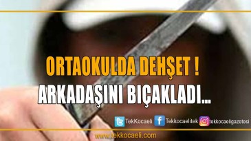 Arkadaşını Bıçakladı…