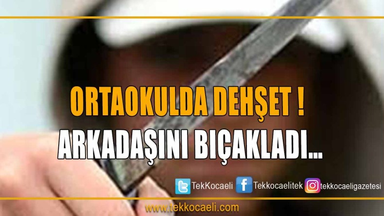 Arkadaşını Bıçakladı…