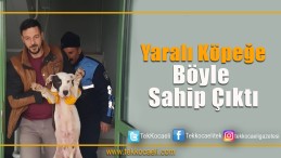 Yaralı Köpeğe Sahip Çıktı