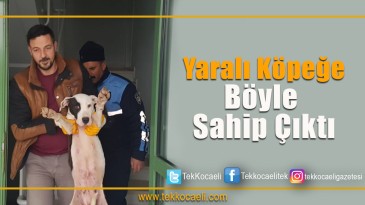 Yaralı Köpeğe Sahip Çıktı