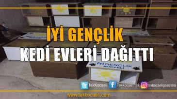 İYİ Gençlik Kedi Evleri Dağıttı