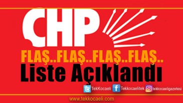 CHP’de Meclis Üyeleri Açıklandı