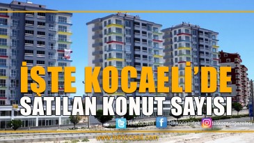 Kocaeli’de 1 Ayda Kaç Konut Satıldı