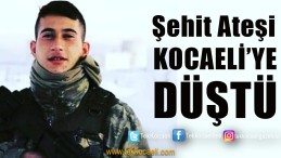 Şehit Ateşi Kocaeli’ye Düştü