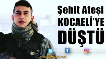 Şehit Ateşi Kocaeli’ye Düştü