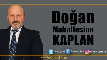 Kuruçeşme Doğan Mahallesi Muhtarlığına, Kaplan Aday