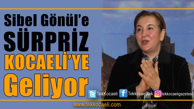 Gönül İçin Geliyor