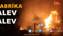 Fabrikada Korkutan Yangın