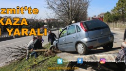 Araç Ağaca Çarptı