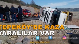 Panelvan Araç Kazada Pert Oldu