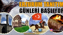 Erzurum Kocaeli’ye Taşınıyor