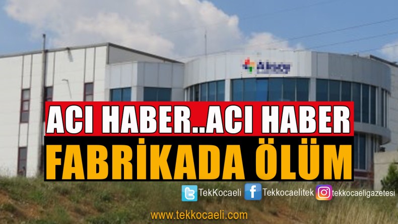 Fabrikada Şok Ölüm