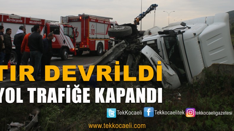 Hayvan Yüklü TIR Devrildi
