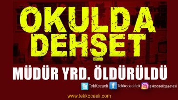 Okulda Dehşet; Müdür Yardımcısı Can Verdi