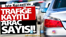 Kocaeli’de Kaç Taşıt Var?