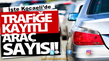 Kocaeli’de Kaç Taşıt Var?