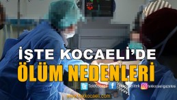 TÜİK Açıkladı; Kocaeli’de Ölüm Nedenleri