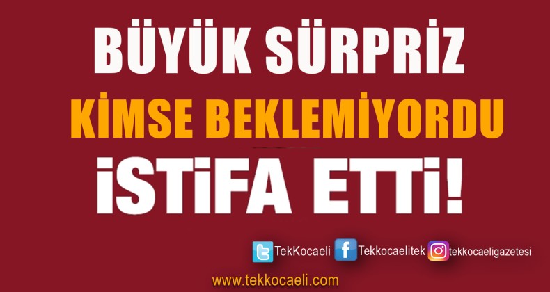 İstifa Depremi