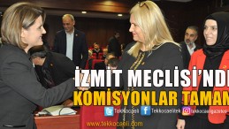 İzmit Meclisi’nde Komisyonlar Belirlendi
