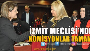 İzmit Meclisi’nde Komisyonlar Belirlendi