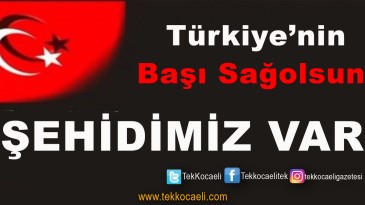 Başın Sağolsun Türkiyem; Şehidimiz Var