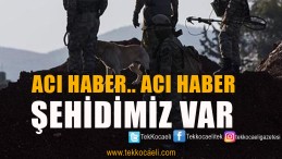 MSB Duyurdu; Şehidimiz Var