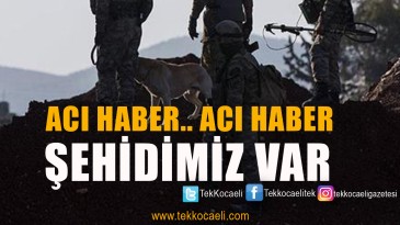 MSB Duyurdu; Şehidimiz Var