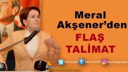 Meral Akşener’den Teşkilatlara Uyarı