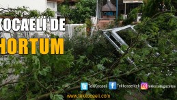 Starlight Princess 2024