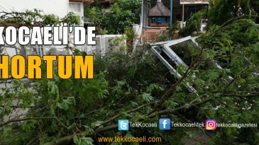 Starlight Princess 2024