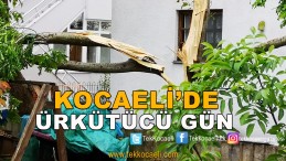 Ağaçlar Devrildi, Çatılar Uçtu