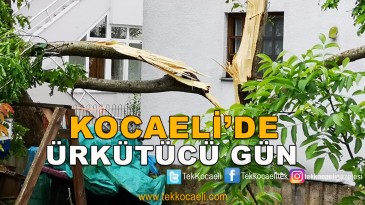 Ağaçlar Devrildi, Çatılar Uçtu
