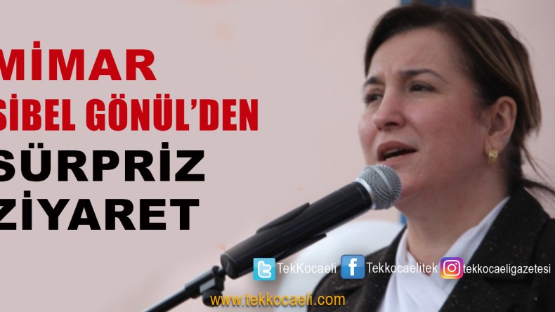 Sibel Gönül Sahaya İndi