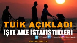 Kocaeli Aile İstatistikleri Açıklandı