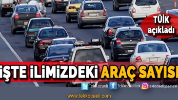 İşte Kocaeli’ndeki Araç Sayısı